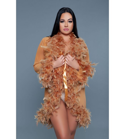 Sheer Short Length Robe with Chandelle Boa Feather Trim